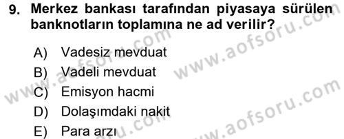 Para Teorisi Dersi Ara Sınavı Deneme Sınav Soruları 9. Soru