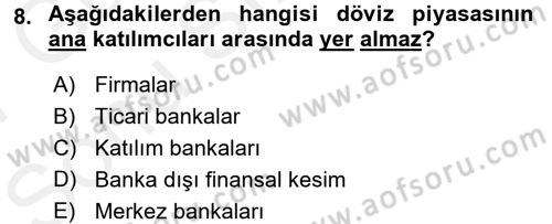 Para Teorisi Dersi 2016 - 2017 Yılı (Final) Dönem Sonu Sınav Soruları 8. Soru