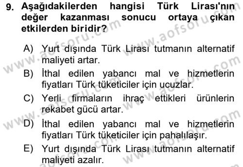 Para Teorisi Dersi 2017 - 2018 Yılı 3 Ders Sınav Soruları 9. Soru