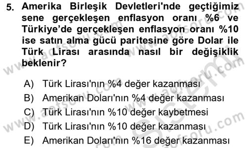 Para Teorisi Dersi 2018 - 2019 Yılı 3 Ders Sınav Soruları 5. Soru