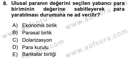 Para Teorisi Dersi Ara Sınavı Deneme Sınav Soruları 8. Soru