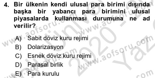 Para Teorisi Dersi 2020 - 2021 Yılı Yaz Okulu Sınav Soruları 4. Soru