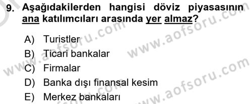 Para Teorisi Dersi 2020 - 2021 Yılı Yaz Okulu Sınav Soruları 9. Soru