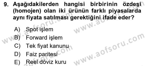 Para Teorisi Dersi 2022 - 2023 Yılı Yaz Okulu Sınav Soruları 9. Soru