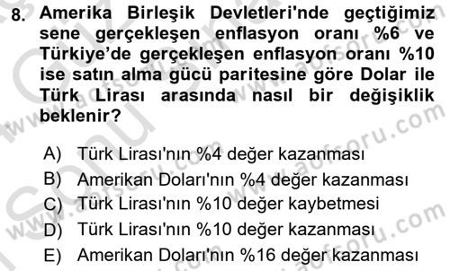 Para Teorisi Dersi Dönem Sonu Sınavı Deneme Sınav Soruları 8. Soru