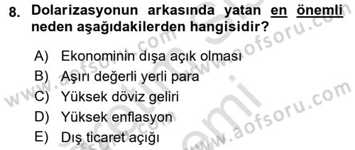 Para Teorisi Dersi 2024 - 2025 Yılı (Vize) Ara Sınav Soruları 8. Soru