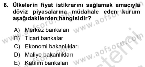 Para Teorisi Dersi 2025 - 2026 Yılı (Final) Dönem Sonu Sınav Soruları 6. Soru