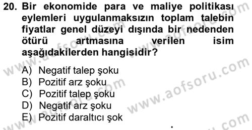 Para Politikası Dersi 2012 - 2013 Yılı (Vize) Ara Sınav Soruları 20. Soru