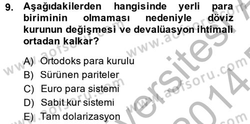 Para Politikası Dersi 2013 - 2014 Yılı (Final) Dönem Sonu Sınav Soruları 9. Soru