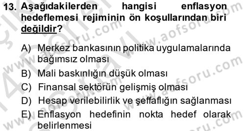 Para Politikası Dersi 2013 - 2014 Yılı Tek Ders Sınav Soruları 13. Soru