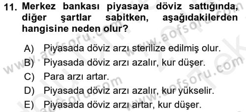 Para Politikası Dersi 2015 - 2016 Yılı Tek Ders Sınav Soruları 11. Soru