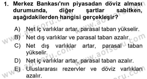 Para Politikası Dersi 2016 - 2017 Yılı 3 Ders Sınav Soruları 1. Soru