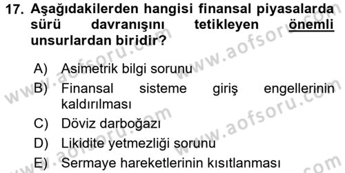 Para Politikası Dersi 2016 - 2017 Yılı (Final) Dönem Sonu Sınav Soruları 17. Soru