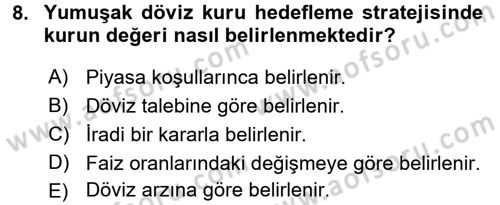 Para Politikası Dersi 2016 - 2017 Yılı (Final) Dönem Sonu Sınavı 8. Soru
