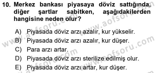 Para Politikası Dersi 2018 - 2019 Yılı 3 Ders Sınav Soruları 10. Soru
