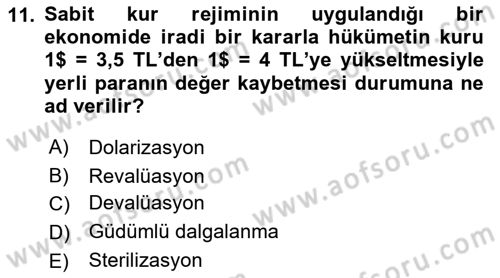 Para Politikası Dersi 2018 - 2019 Yılı 3 Ders Sınav Soruları 11. Soru