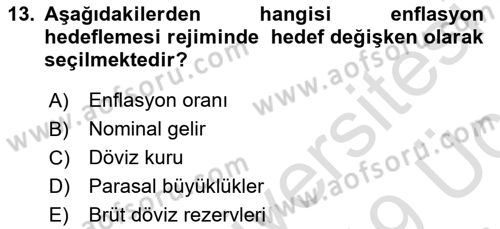 Para Politikası Dersi 2018 - 2019 Yılı 3 Ders Sınav Soruları 13. Soru