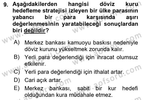 Para Politikası Dersi 2018 - 2019 Yılı 3 Ders Sınav Soruları 9. Soru