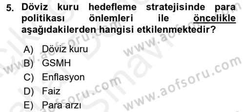 Para Politikası Dersi 2018 - 2019 Yılı (Final) Dönem Sonu Sınav Soruları 5. Soru