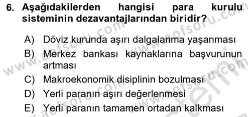Para Politikası Dersi 2023 - 2024 Yılı (Final) Dönem Sonu Sınav Soruları 6. Soru
