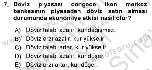 Para Politikası Dersi 2023 - 2024 Yılı (Final) Dönem Sonu Sınav Soruları 7. Soru