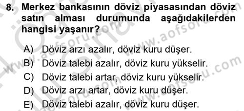Para Politikası Dersi 2023 - 2024 Yılı Yaz Okulu Sınav Soruları 8. Soru