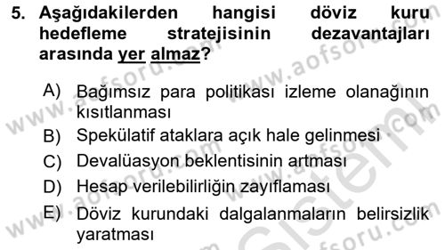 Para Politikası Dersi 2024 - 2025 Yılı (Final) Dönem Sonu Sınav Soruları 5. Soru