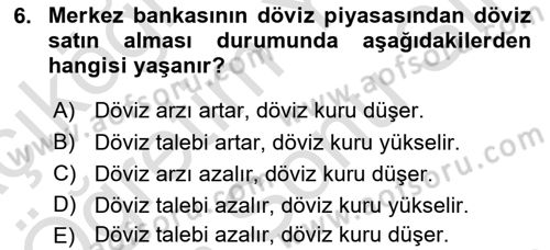 Para Politikası Dersi 2024 - 2025 Yılı (Final) Dönem Sonu Sınav Soruları 6. Soru