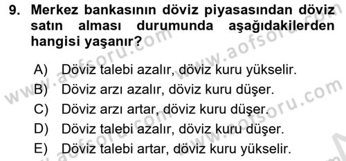 Para Politikası Dersi 2024 - 2025 Yılı Yaz Okulu Sınav Soruları 9. Soru