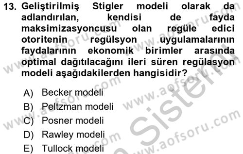 Sanayi Ekonomisi Dersi 2016 - 2017 Yılı 3 Ders Sınav Soruları 13. Soru