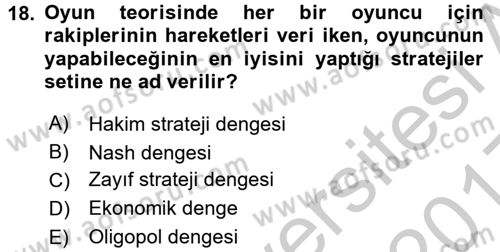 Sanayi Ekonomisi Dersi 2016 - 2017 Yılı 3 Ders Sınav Soruları 18. Soru