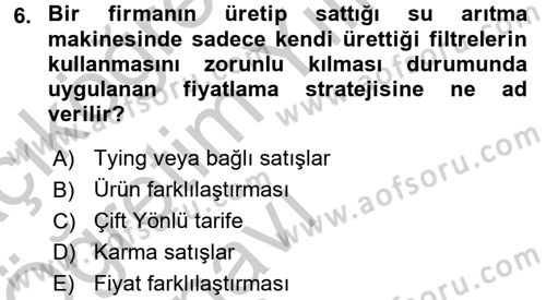 Sanayi Ekonomisi Dersi 2016 - 2017 Yılı 3 Ders Sınav Soruları 6. Soru