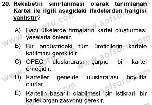 Sanayi Ekonomisi Dersi 2016 - 2017 Yılı (Vize) Ara Sınav Soruları 20. Soru