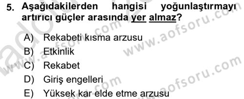 Sanayi Ekonomisi Dersi 2016 - 2017 Yılı (Vize) Ara Sınav Soruları 5. Soru