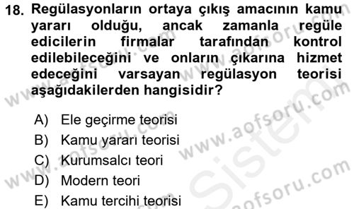 Sanayi Ekonomisi Dersi 2017 - 2018 Yılı 3 Ders Sınav Soruları 18. Soru