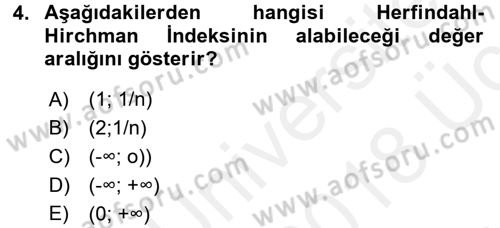 Sanayi Ekonomisi Dersi 2017 - 2018 Yılı 3 Ders Sınav Soruları 4. Soru