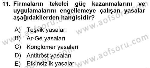 Sanayi Ekonomisi Dersi 2017 - 2018 Yılı (Vize) Ara Sınav Soruları 11. Soru