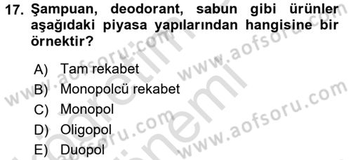 Sanayi Ekonomisi Dersi 2017 - 2018 Yılı (Vize) Ara Sınav Soruları 17. Soru