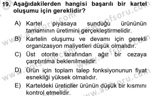 Sanayi Ekonomisi Dersi 2017 - 2018 Yılı (Vize) Ara Sınav Soruları 19. Soru