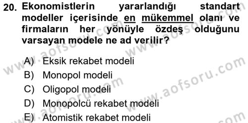 Sanayi Ekonomisi Dersi 2017 - 2018 Yılı (Vize) Ara Sınav Soruları 20. Soru