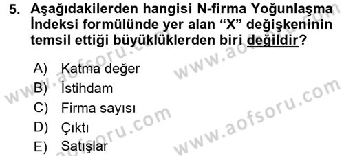 Sanayi Ekonomisi Dersi 2017 - 2018 Yılı (Vize) Ara Sınav Soruları 5. Soru