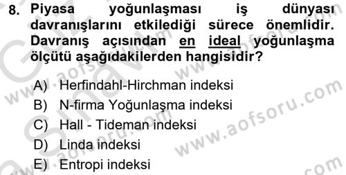 Sanayi Ekonomisi Dersi 2017 - 2018 Yılı (Vize) Ara Sınav Soruları 8. Soru