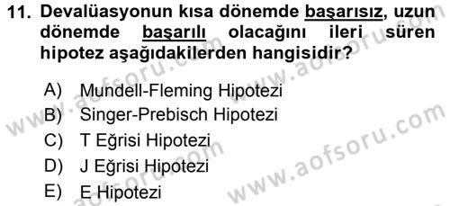 Uluslararası İktisat Politikası Dersi 2016 - 2017 Yılı 3 Ders Sınav Soruları 11. Soru