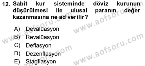 Uluslararası İktisat Politikası Dersi 2016 - 2017 Yılı 3 Ders Sınav Soruları 12. Soru