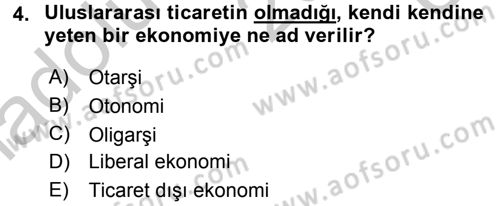 Uluslararası İktisat Politikası Dersi 2016 - 2017 Yılı 3 Ders Sınav Soruları 4. Soru