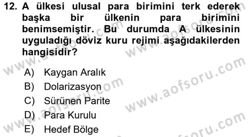 Uluslararası İktisat Politikası Dersi 2017 - 2018 Yılı 3 Ders Sınav Soruları 12. Soru