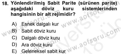 Uluslararası İktisat Politikası Dersi 2017 - 2018 Yılı 3 Ders Sınav Soruları 18. Soru