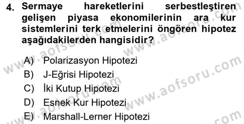 Uluslararası İktisat Politikası Dersi 2017 - 2018 Yılı 3 Ders Sınav Soruları 4. Soru