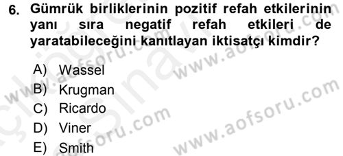 Uluslararası İktisat Politikası Dersi 2017 - 2018 Yılı 3 Ders Sınav Soruları 6. Soru