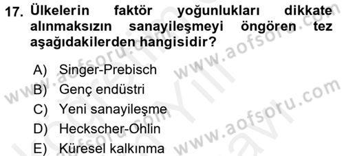 Uluslararası İktisat Politikası Dersi 2017 - 2018 Yılı (Vize) Ara Sınav Soruları 17. Soru